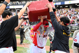 스포츠 허상욱 야구_006.jpeg