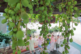 지역뉴스 호남제주 나건호 02.jpg