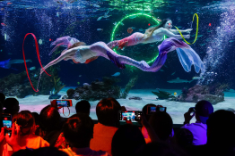 6월 뉴스 조현호 (2).jpg