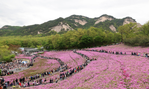 피쳐자연 최혁 03.jpg