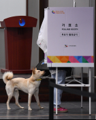 4월뉴스 이새롬 01.jpg