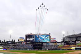스포츠야구박진업12.jpg