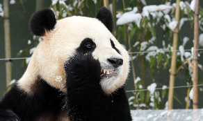 2월 뉴스 박지혜 (14).jpg