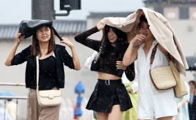 5월 뉴스 박지혜 (7).jpg