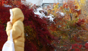 피쳐자연홍효식05.jpg