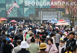 4월뉴스성형주 03.jpg
