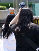 5월뉴스성형주01.jpg