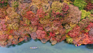 10월뉴스성형주 02.jpg