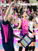 스포츠 종합 김성락03.JPG