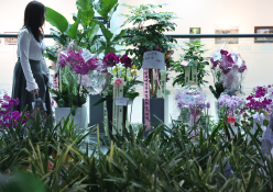 4월뉴스 송원영28.jpg