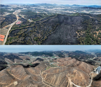 20240402-홍성 산불.jpg