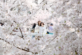 4월뉴스 방인권12.JPG