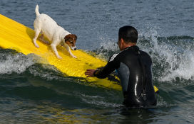 피처자연 유희태_강원도민일보 (2).jpg