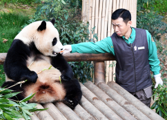 3월뉴스 배정한 02.jpg