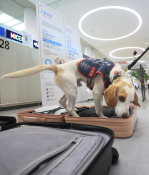 8월_조선영상비전_장련성 (5).jpg