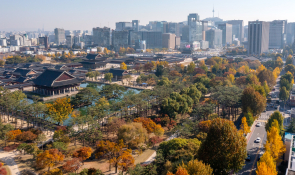 자연_조선영상비전_장련성 (7).jpg