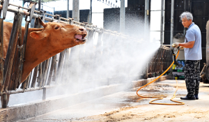 피쳐 생활 중부일보 김경민 (2).jpg