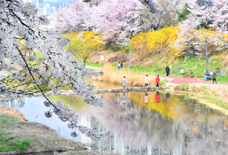 피쳐 생활 중부일보 김경민 (1).jpg