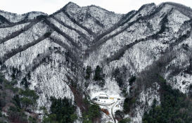 피쳐 자연 중부일보 김경민 (2).jpg