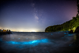 피처자연최기웅 (4).jpg