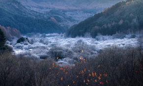 피처자연최기웅 (6).jpg