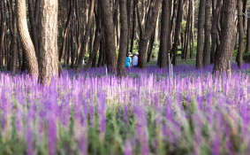 피처자연최기웅 (7).jpg