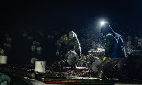 피처생활최기웅 (2).jpg