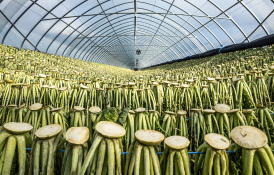 피처생활최기웅 (5).jpg