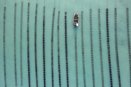 피처생활최기웅 (4).jpg