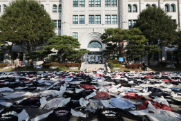 11월뉴스한수빈01.jpg