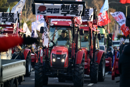 특집계엄령최원석11.JPG