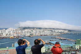 지역뉴스영남김종진 (17).jpg