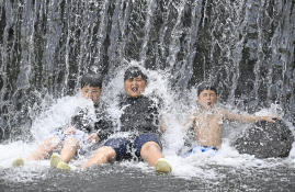 지역뉴스영남이윤호 (2).jpg