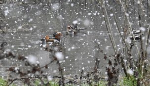 지역뉴스영남이윤호 (5).jpg