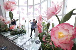 20250520 빅플라워 (6).JPG