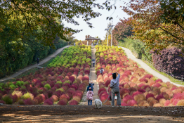 피처 생활 유희태 (10).jpg