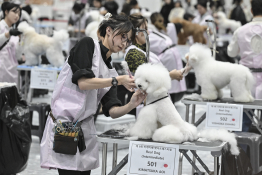 피쳐생활 홍기웅03.jpg