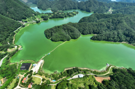 20250728-대청호 녹조3.jpg