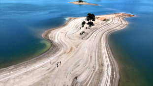 20250612-대철호 모래섬8.jpg