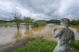 지역뉴스 중부 윤원규 03.jpg