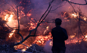 3월뉴스 최지환(2).JPG