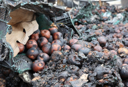 3월뉴스 최지환(1).JPG