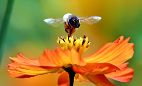 피처자연김경민 (1).jpg