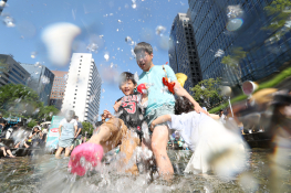 6월 뉴스 장경식 (7).jpg