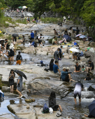 피쳐생활 김태완 (5).jpg