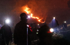 3월 뉴스 중앙일보 김종호(2).jpeg