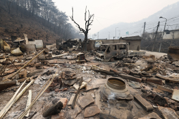 3월 뉴스 중앙일보 김종호(3).jpeg