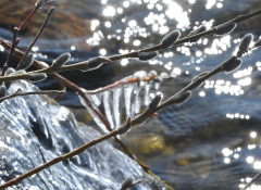 2월뉴스 류영주02.jpg