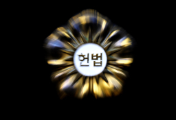 혼란의 헌법재판소 스케치 (1).jpg