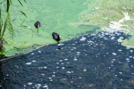 피처 자연 (4).jpg